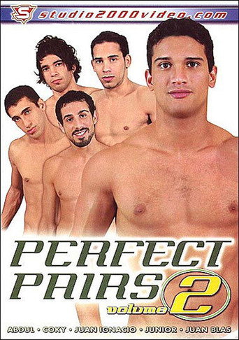 Movie poster for Perfect Pairs 2 (2007)