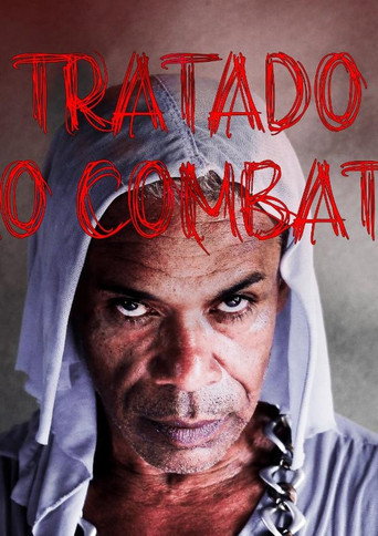 Movie poster for O Tratado do Vão Combate ou A Pequena História de uma Bixinha Qualquer (2023)