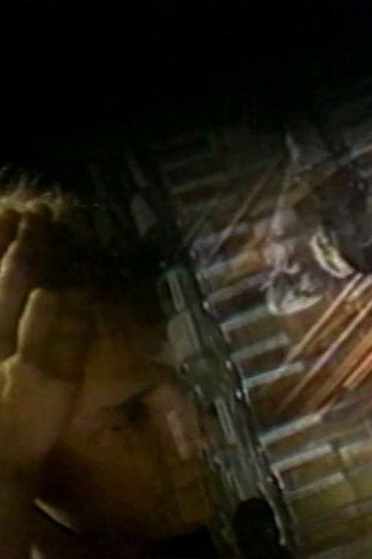 Movie poster for Oblique Strategist Too (1984)