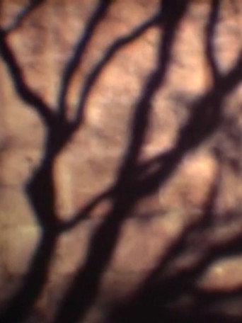Movie poster for Pulsion (2001)