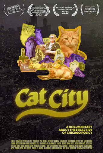 Movie poster for Cat City (2024)
