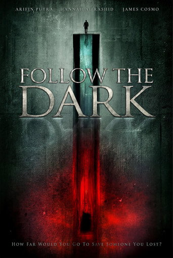 Movie poster for Follow the Dark