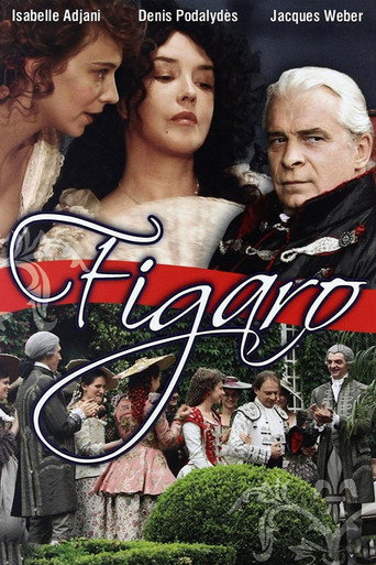 Movie poster for Figaro (2008)