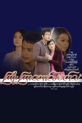 Movie poster for The Song Of Crane (2009)