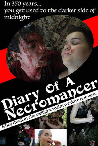 Movie poster for Diary of a Necromancer (2017)