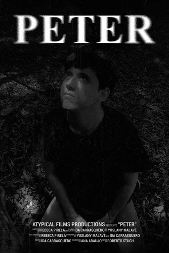 Movie poster for Peter: The price of youth (2024)