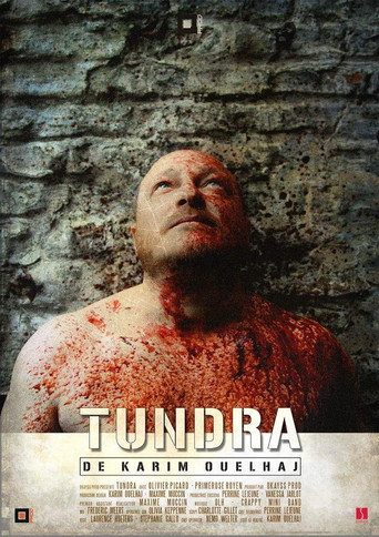Movie poster for Tundra (2018)