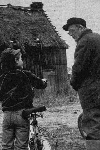 A Wigwam For The Storks poster