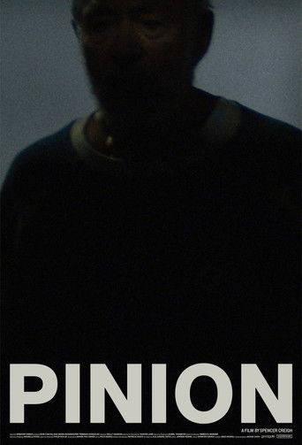 Pinion poster
