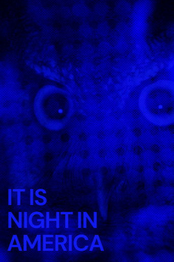Movie poster for It Is Night in America (2024)