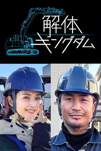 Amazing Disassembly Works poster