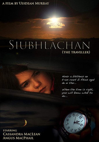 Movie poster for The Traveller (2009)