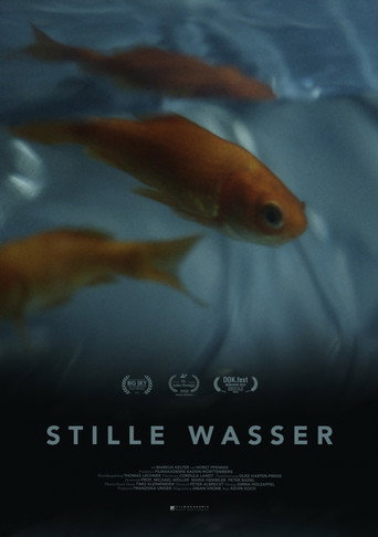 Movie poster for Silent Waters (2022)