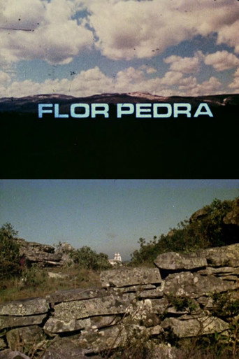 Movie poster for Flor Pedra (1975)