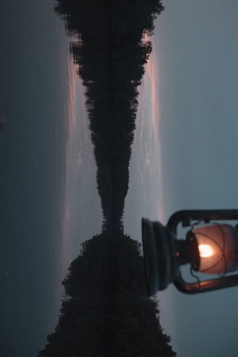 Movie poster for Firefly (2018)