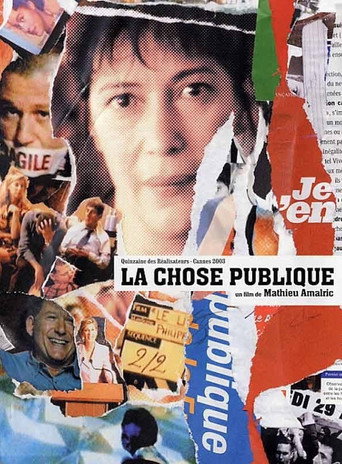 Movie poster for Public Affairs (2003)