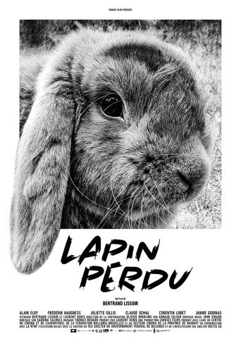 Movie poster for Lost Rabbit (2019)
