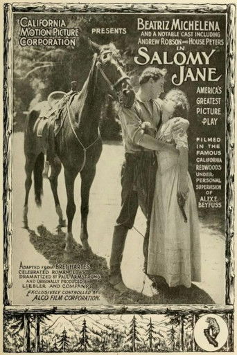 Salomy Jane poster
