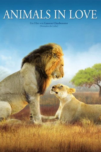Movie poster for Animals in Love (2007)