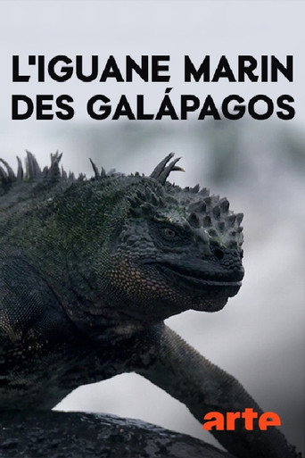 Movie poster for The Marine Iguanas of the Galapagos (2018)