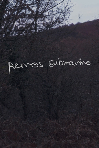 Movie poster for Perros submarino (2024)