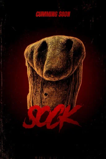Movie poster for Sock (2025)