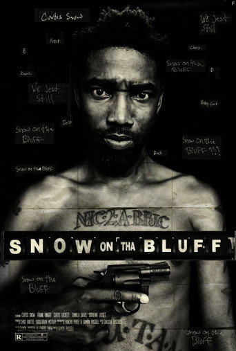 Movie poster for Snow on tha Bluff (2012)