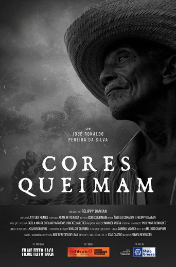 Movie poster for Cores Queimam (2024)