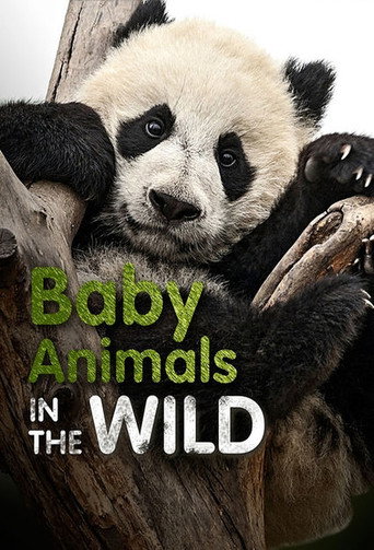 Series poster for Baby Animals In The Wild (2015)
