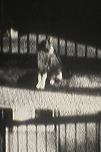 Movie poster for Cat Dream (2012)