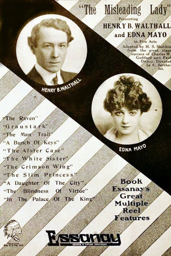 Movie poster for The Misleading Lady (1916)