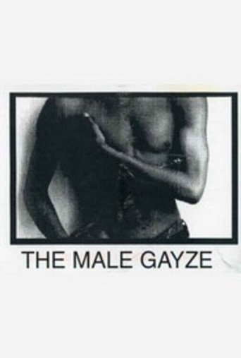 Movie poster for The Male GaYze (1990)