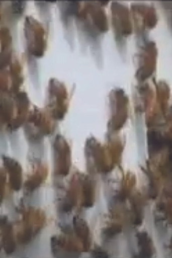 Every Third Bite poster