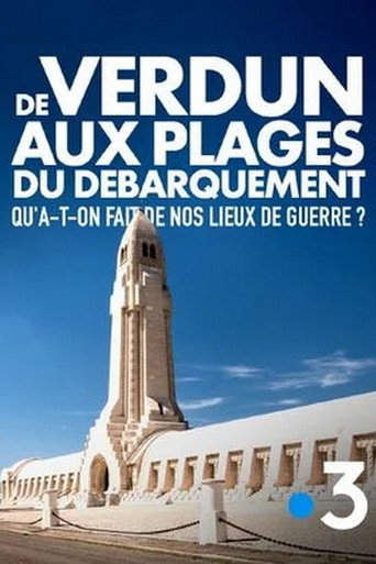 Movie poster for De Verdun aux plages du débarquement... Traces de guerre (2024)