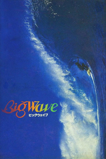 Movie poster for Big Wave (1984)