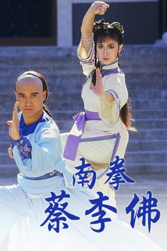 The Rise of A Kung Fu Master poster