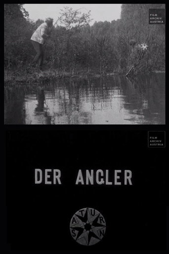 Movie poster for The Angler (1907)
