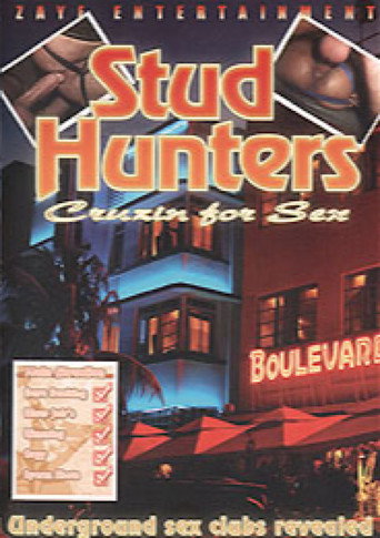 Movie poster for Stud Hunters: Cruisin' for Sex (2004)