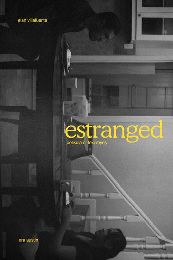 Movie poster for Estranged (2025)