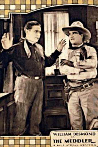 Movie poster for The Meddler (1925)