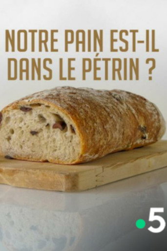 Movie poster for Notre pain est-il dans le pétrin ? (2017)
