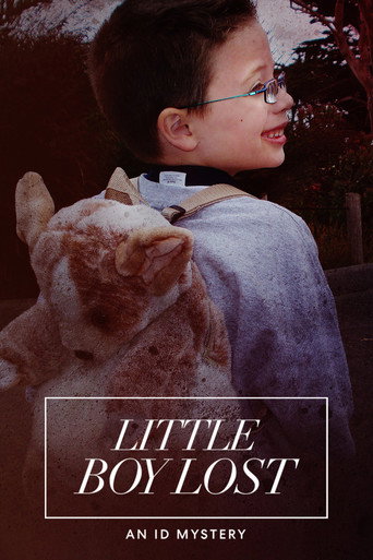 Movie poster for Little Boy Lost: An ID Mystery (2020)