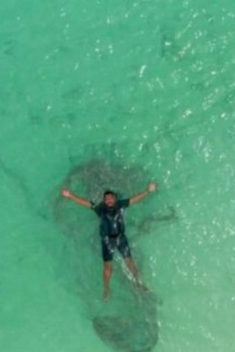 Just Beneath The Surface poster