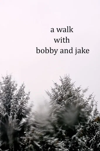 Movie poster for a walk with bobby and jake (2022)