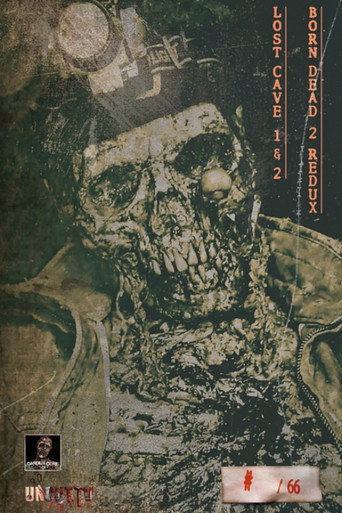 Movie poster for Lost Cave 2 (2024)