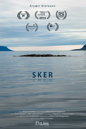 Movie poster for Sker (2013)