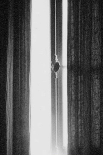 Movie poster for Sensitométrie V (1976)