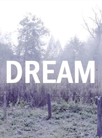 Movie poster for Dream (2017)