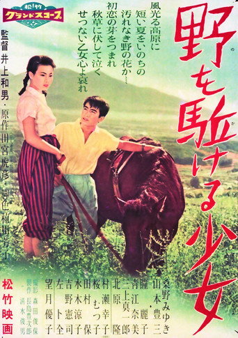 Movie poster for Farewell to Summer (1958)