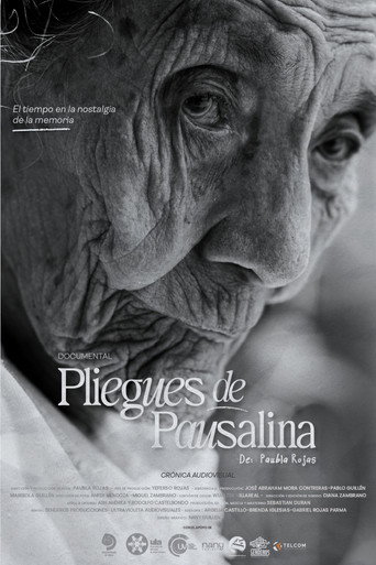 Movie poster for Pliegues de Pausalina (2025)